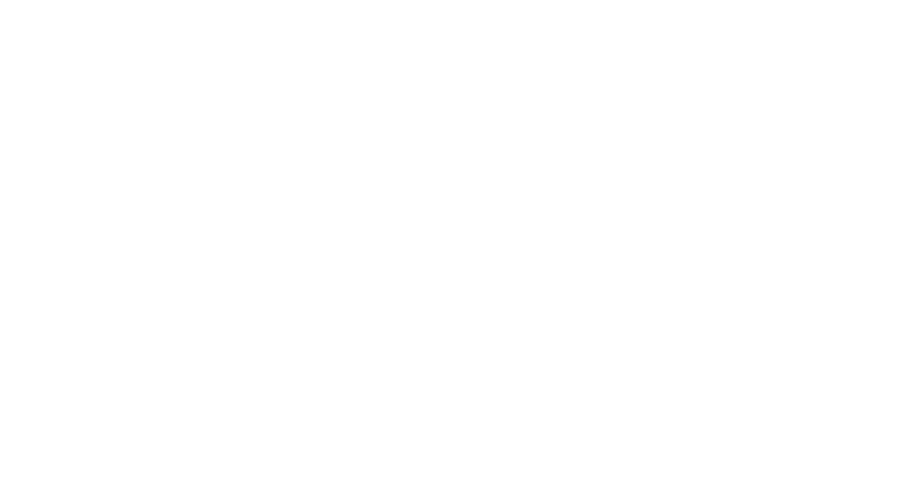 Ivette Pineda Digital Marketing Strategist